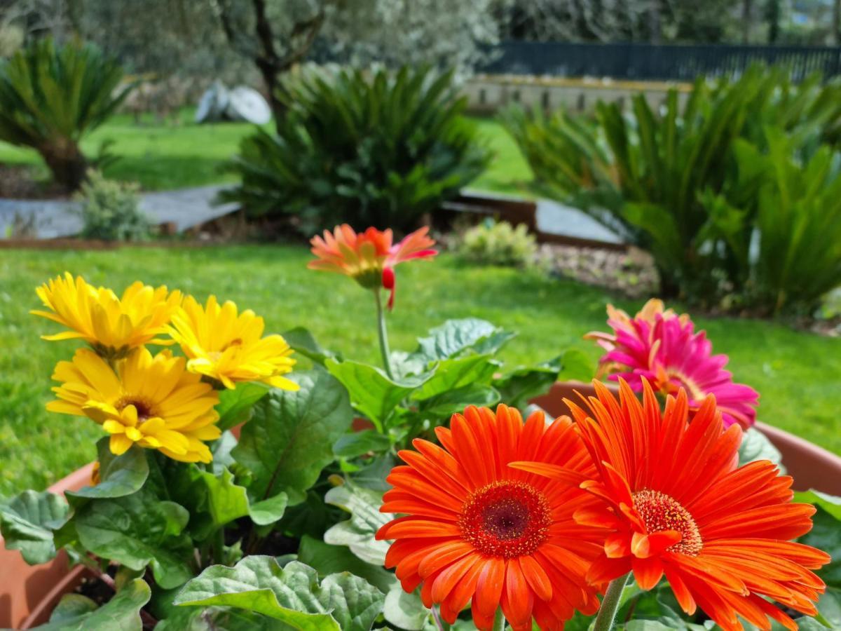 Il Casale Nel Parco Guesthouse Рим Экстерьер фото